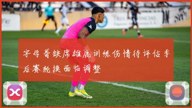 字母哥缺席雄鹿训练伤情待评估季后赛轮换面临调整