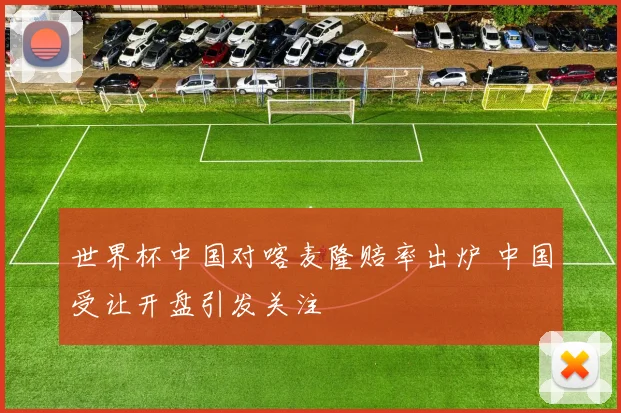 世界杯中国对喀麦隆赔率出炉 中国受让开盘引发关注