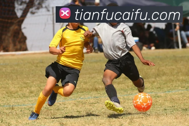 九游在线登录服务体系